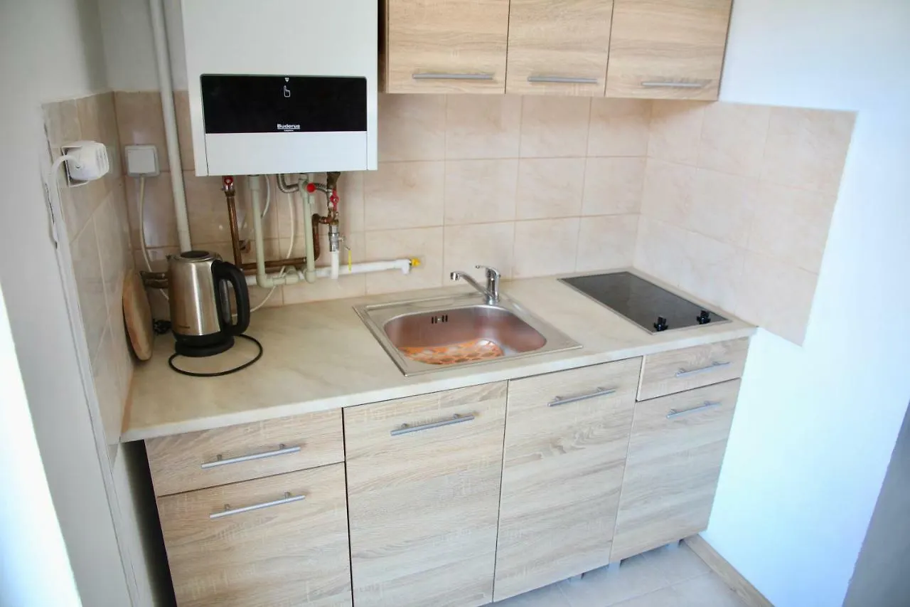 V Centru Mesta Apartment Karlovy Vary